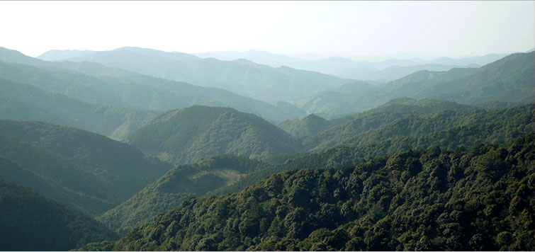 トップイメージ